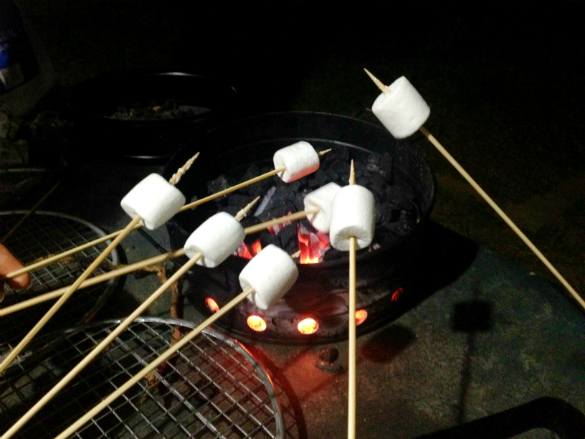 Roasting marshmallows for s'mores
