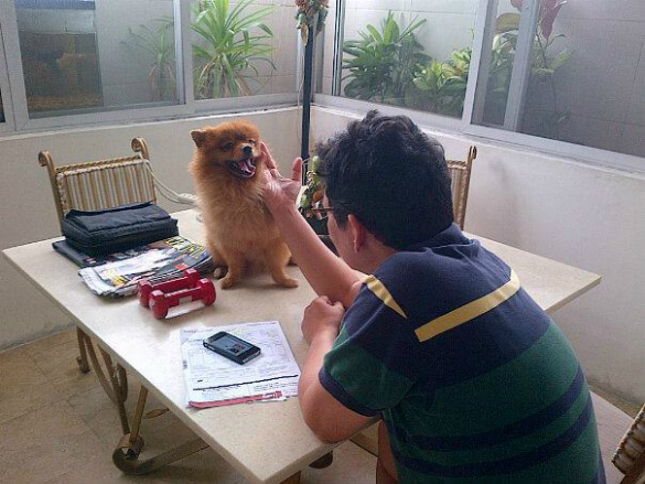 Dad and our pomeranian, Copper.