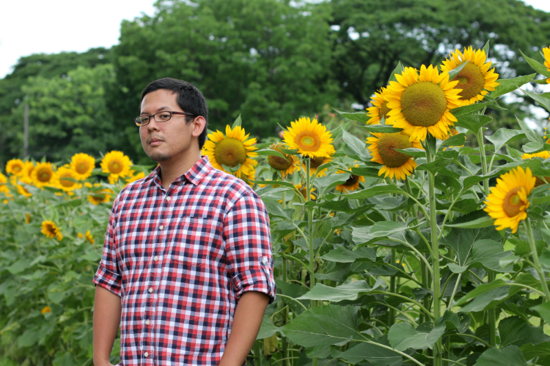 Sunflowers at UP Diliman (13)